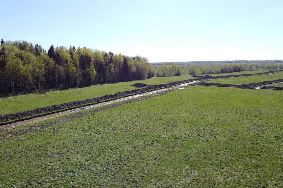 земля городской округ Истра деревня Загорье фото 8