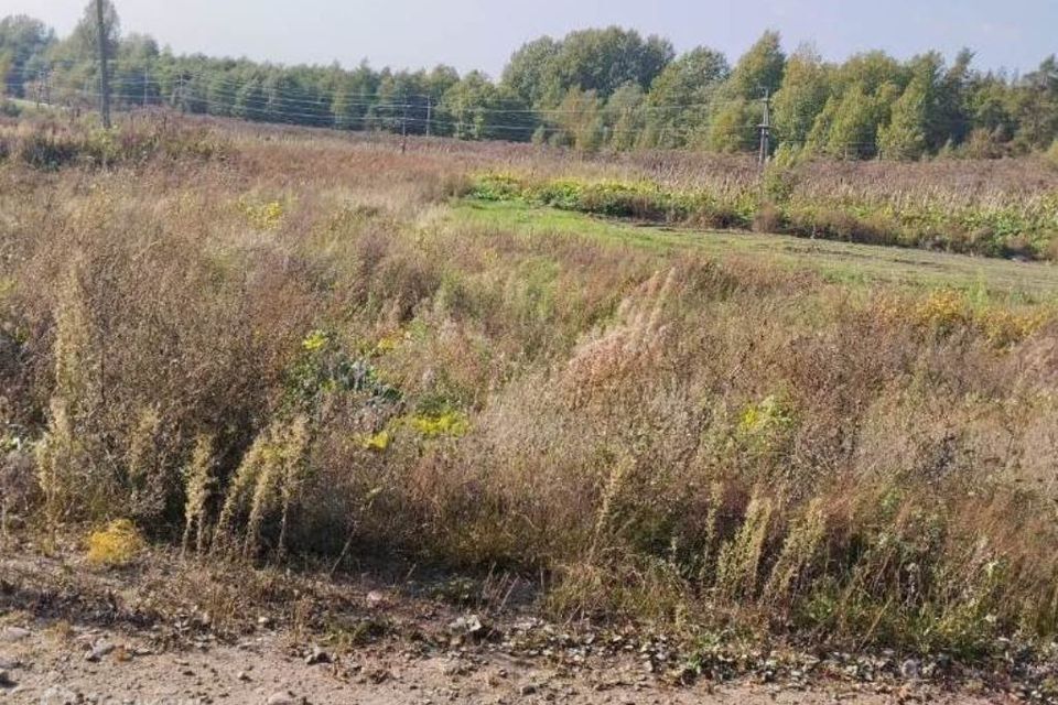 земля р-н Приозерский п Плодовое ул Полевая 3 фото 5