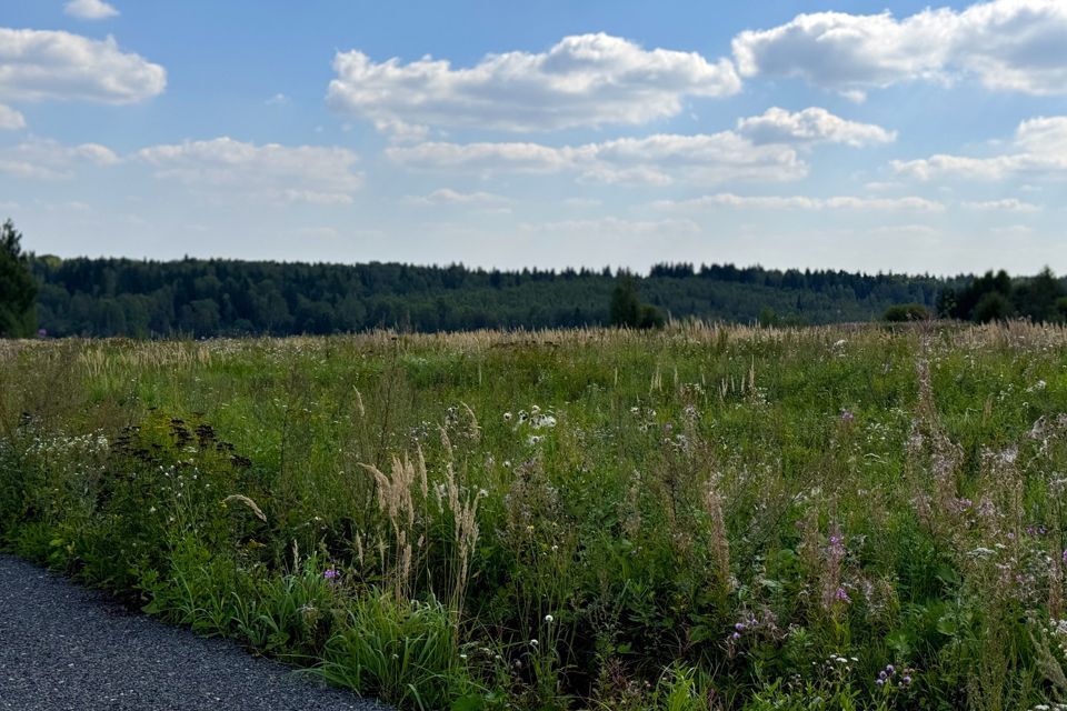 земля городской округ Дмитровский д Медведково 6 фото 5