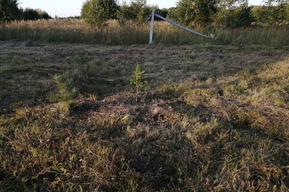 земля городской округ Клин садоводческое некоммерческое товарищество Малинаград фото 6