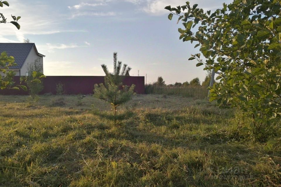 земля городской округ Клин садоводческое некоммерческое товарищество Малинаград фото 5