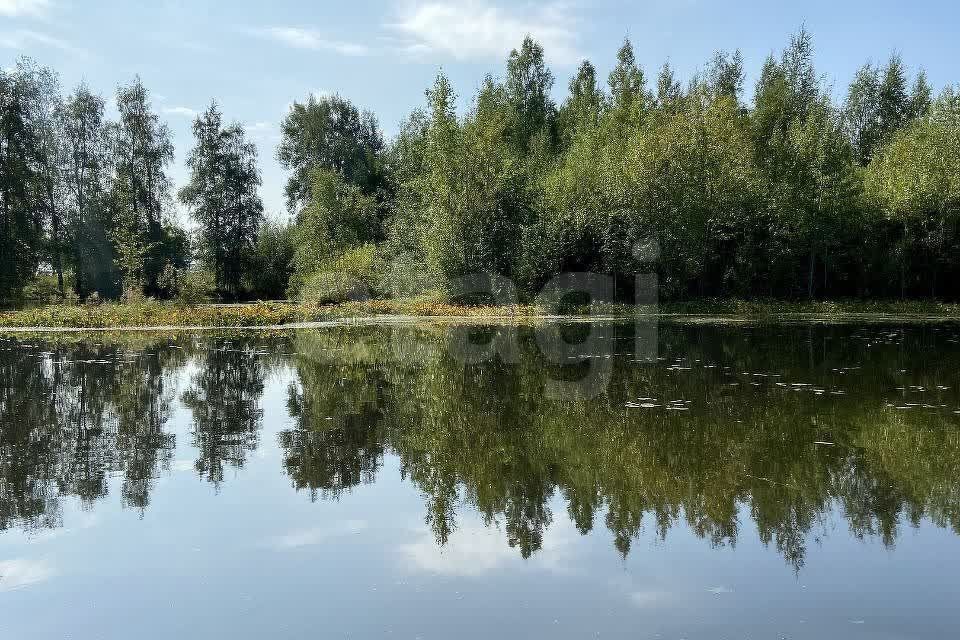 земля р-н Ломоносовский деревня Сойкино фото 6