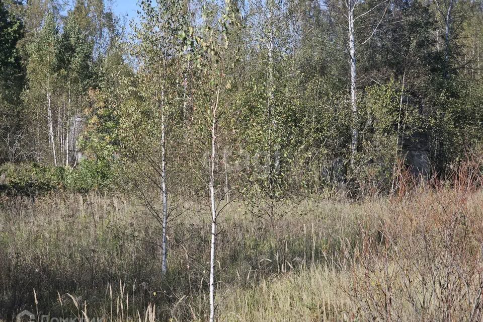 земля городской округ Коломна, деревня Рождественка фото 8