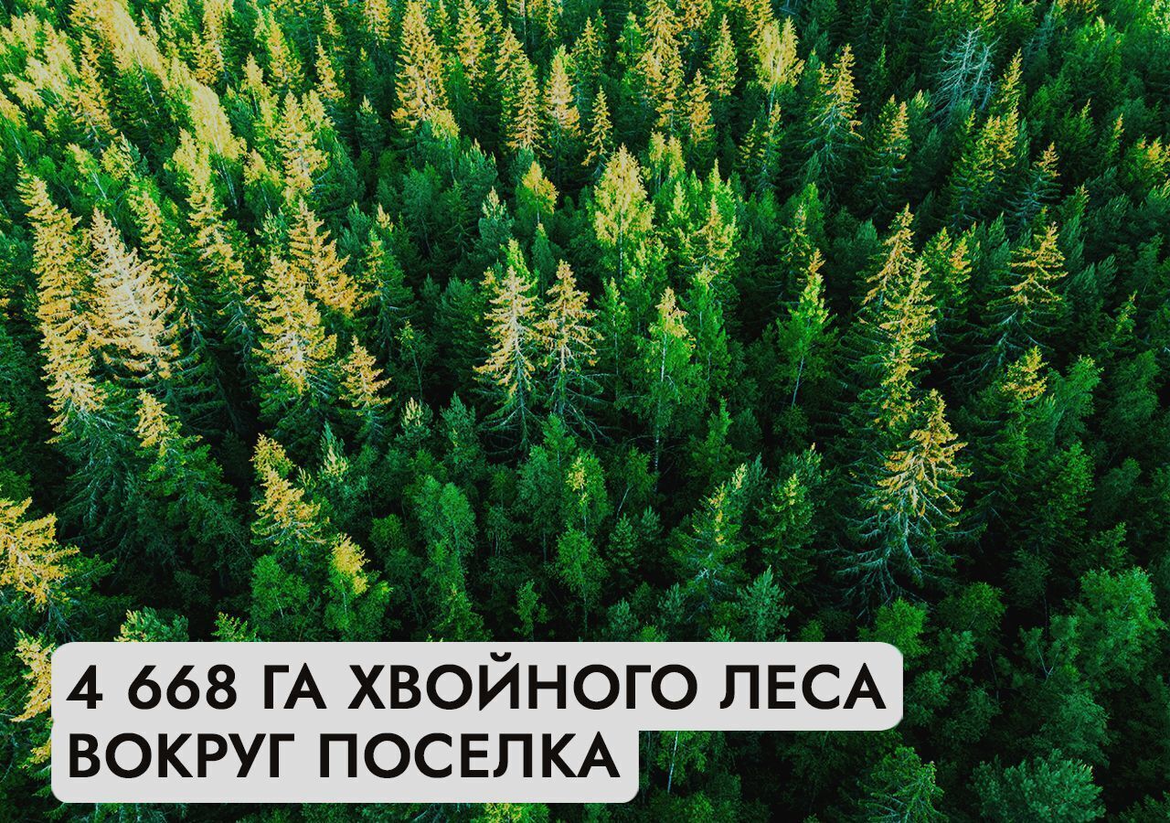 земля г Солнечногорск 9744 км, коттеджный пос. Андреевский Парк, Андреевка, Пятницкое шоссе фото 9