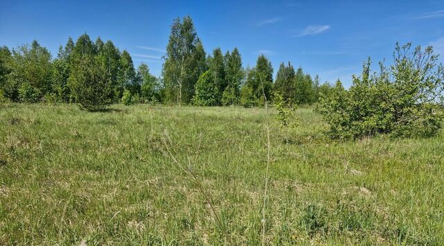 городской округ Ступино с Хонятино ул Полевая фото