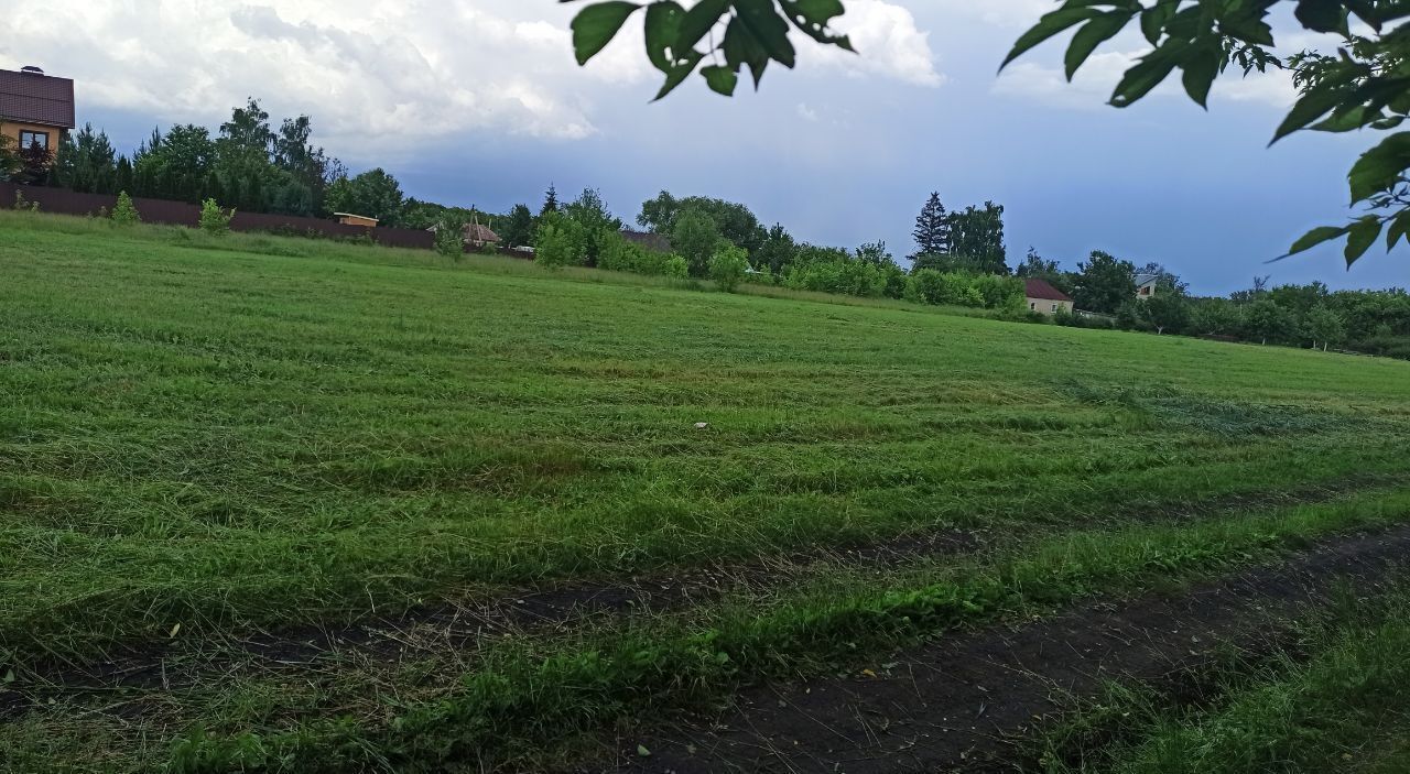 земля р-н Липецкий с Грязное Грязновский сельсовет, Боринское фото 1