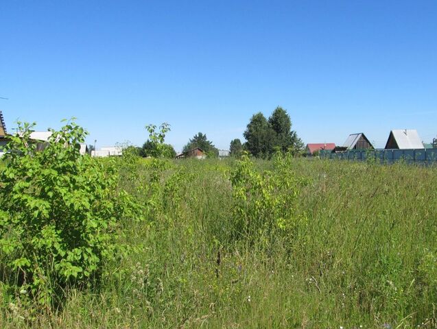 Бердское шоссе, 5809 км, садовое товарищество Ветеран фото