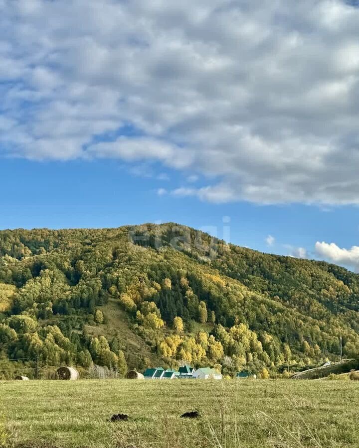 дом р-н Алтайский река Даниловка, Белокуриха фото 7