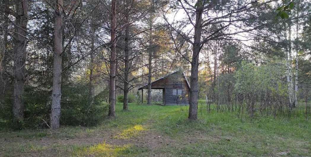 дом р-н Кирово-Чепецкий д Кучумовщина Пасеговское сельское поселение, Киров фото 39