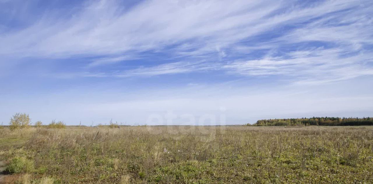 земля р-н Тюменский с Перевалово Раздолье мкр фото 4