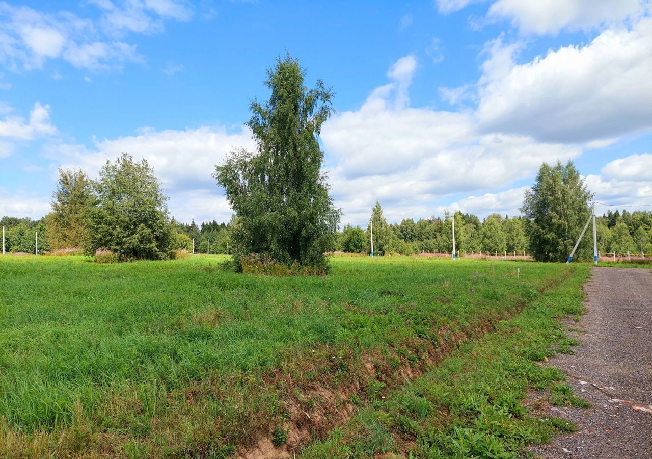 земля городской округ Мытищи с Марфино 9743 км, Дмитровское шоссе фото 8