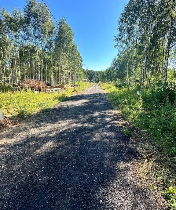 земля городской округ Дмитровский д Волдынское фото 11