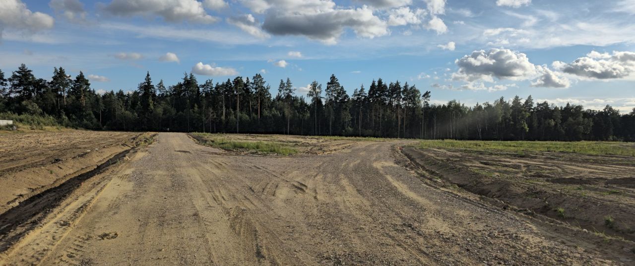 земля городской округ Богородский г Электроугли мкр Светлый 9745 км, Носовихинское шоссе фото 14