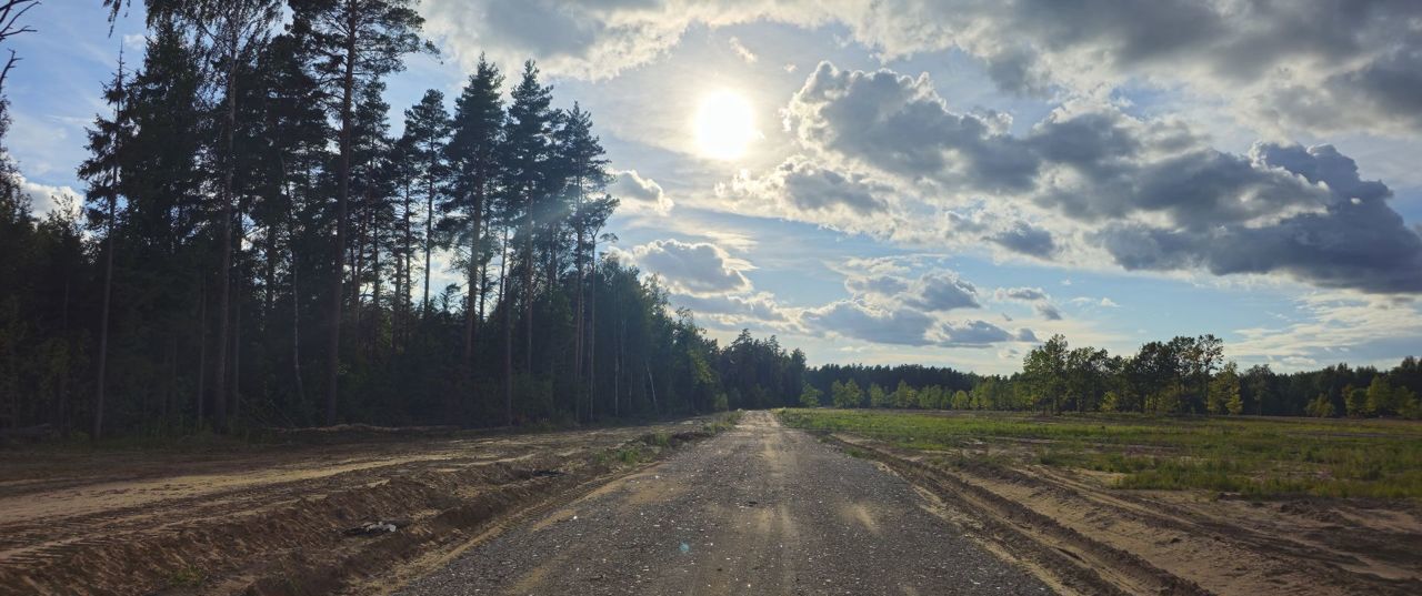 земля городской округ Богородский г Электроугли мкр Светлый 9745 км, Носовихинское шоссе фото 20