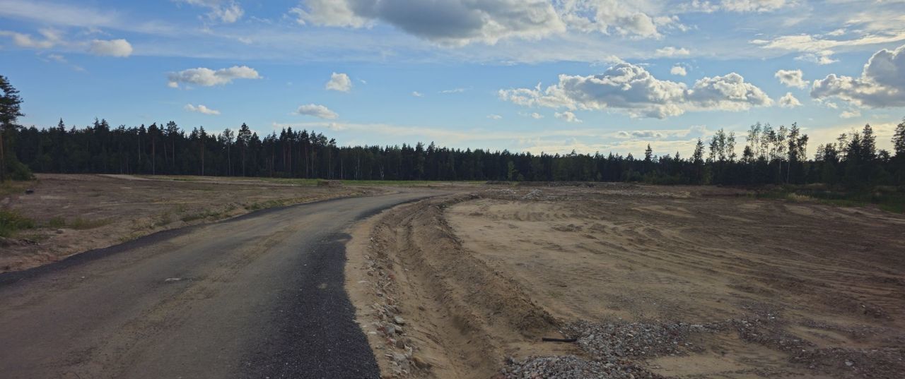 земля городской округ Богородский г Электроугли мкр Светлый 9745 км, Носовихинское шоссе фото 8