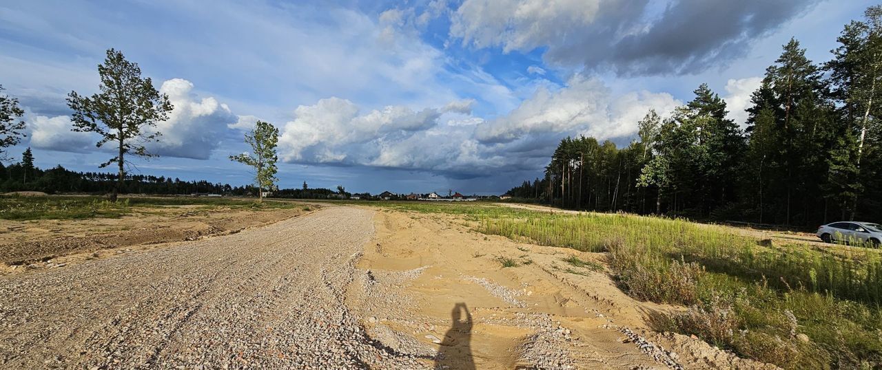 земля городской округ Богородский г Электроугли мкр Светлый 9745 км, Носовихинское шоссе фото 30