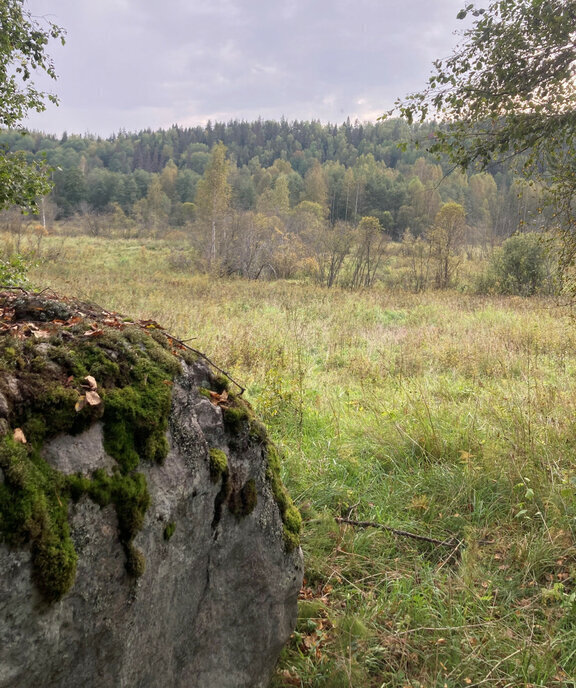 земля р-н Выборгский п Свободное Каменногорское городское поселение фото 1