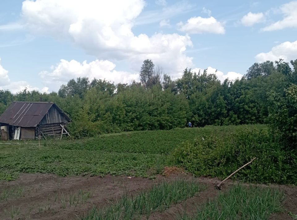 земля р-н Зеленодольский с Мизиново ул Советская муниципальное образование, Нижние Вязовые фото 8