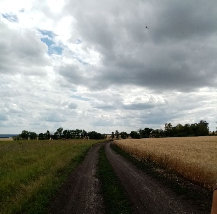 земля г Ульяновск с Луговое ул Габдулы Тукая фото 2