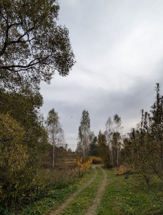 земля городской округ Серпухов д Вязищи фото 1