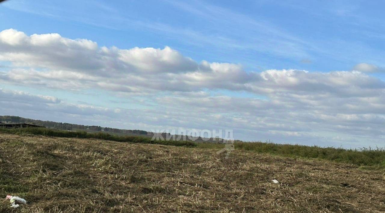 земля р-н Коченевский с Прокудское ул Советская фото 3