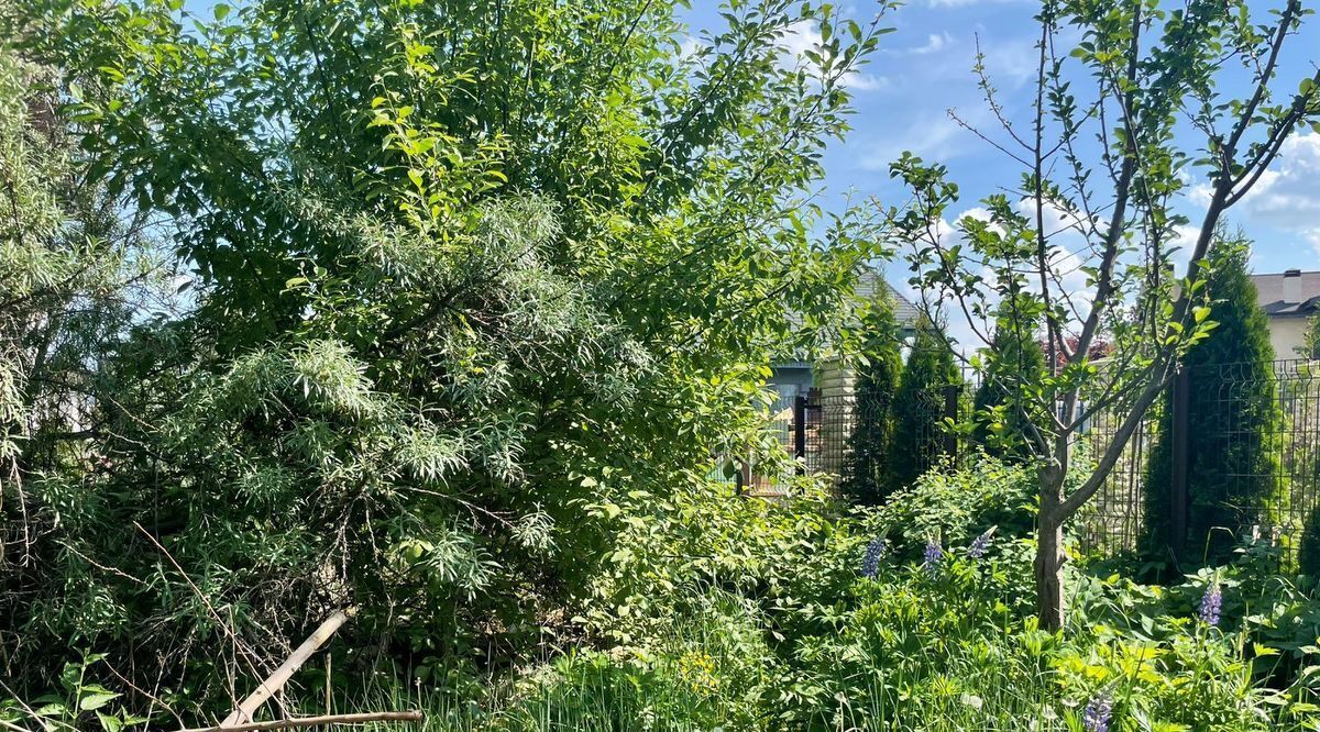 земля городской округ Истра д Покровское Нахабино, бул. Новоспасский, 16 фото 12