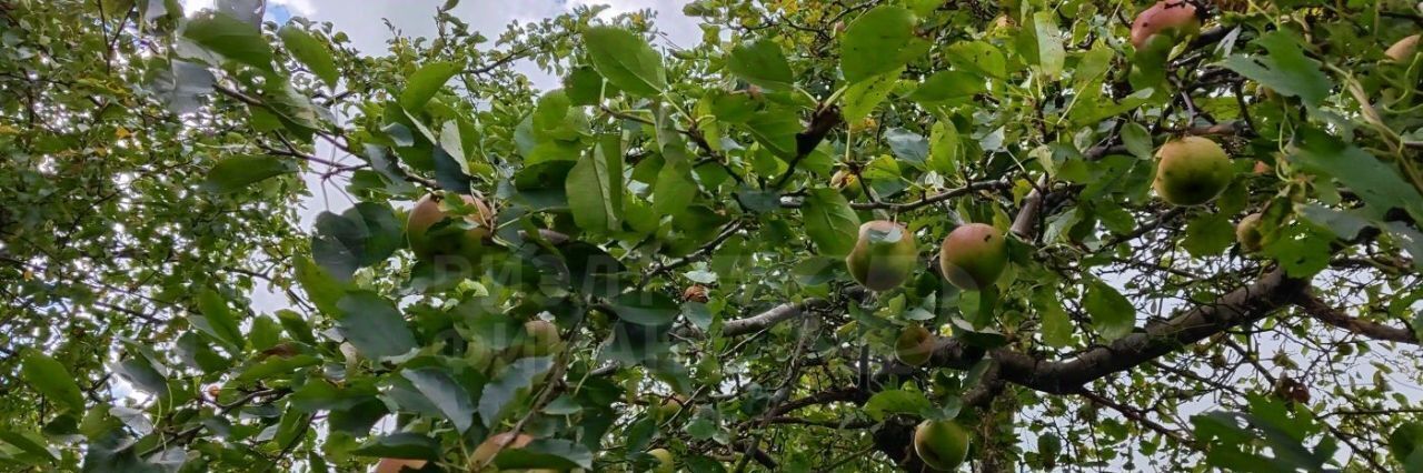 дом Светловский городской округ, проезд Вишневый, Энергетик СТ фото 2