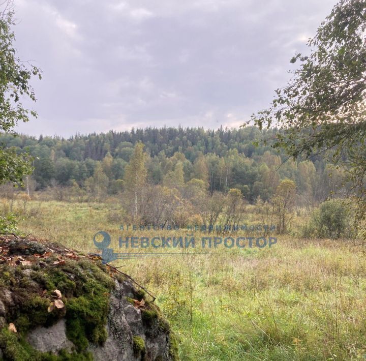 земля р-н Выборгский п Свободное Каменногорское городское поселение фото 1