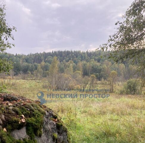 п Свободное Каменногорское городское поселение фото