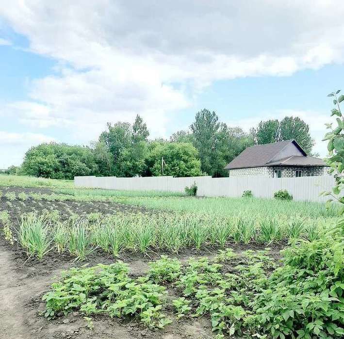 дом р-н Белгородский с Ближнее ул Луговая Бессоновское с/пос фото 9