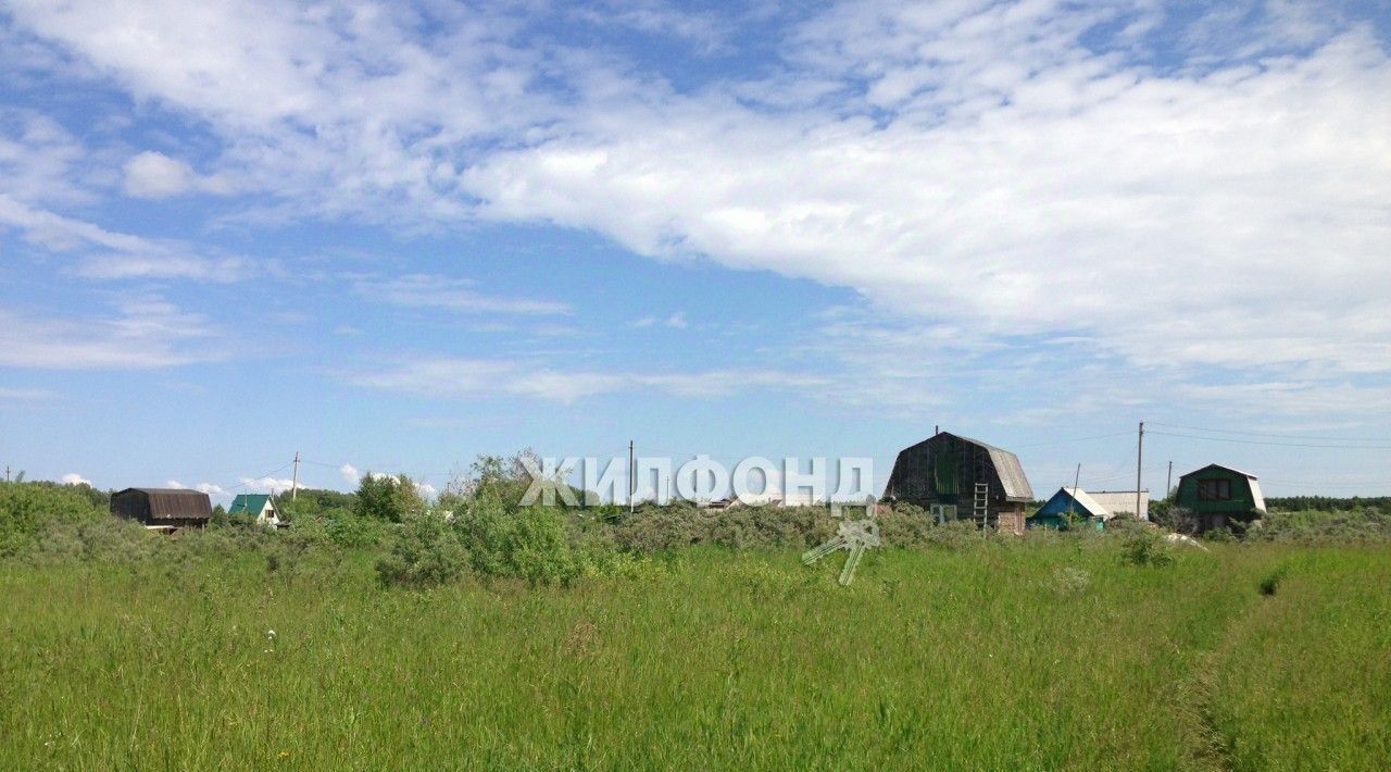 земля р-н Искитимский п Мичуринский сельсовет, Авиатор садовое товарищество фото 1