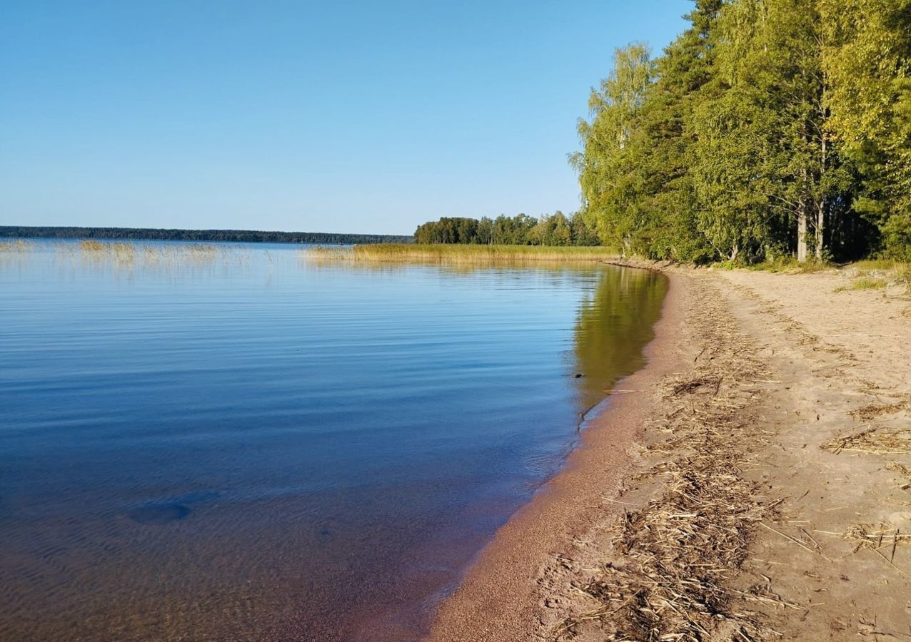 дом р-н Приозерский п Цветково ул Краснопольская 89 Трасса Сортавала, 76 км, Плодовское сельское поселение, Саперное фото 15