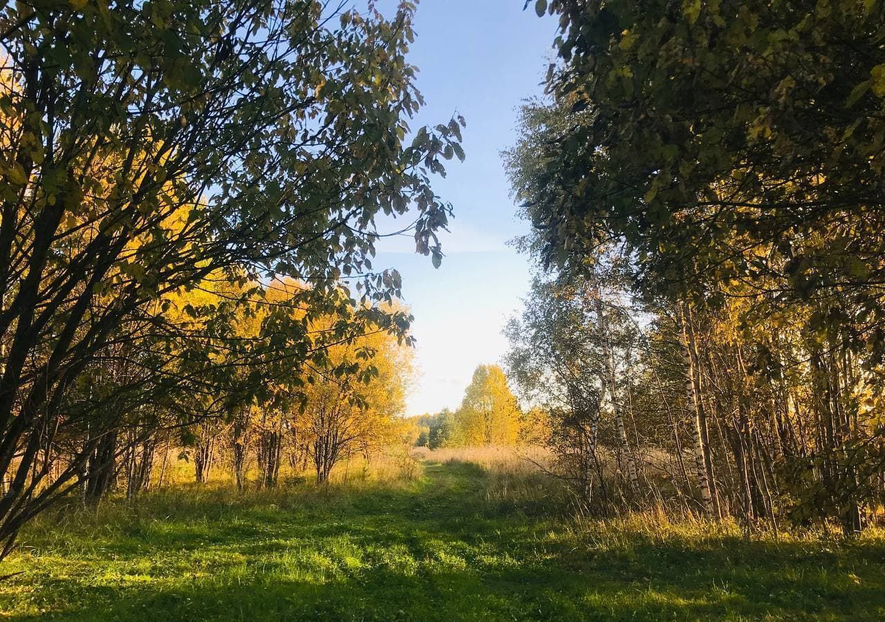 дом р-н Кимрский Маловасилёвское сельское поселение, Кимры, д. Заручьево фото 28