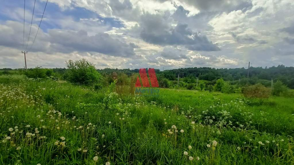 земля р-н Ярославский д Филисово фото 2