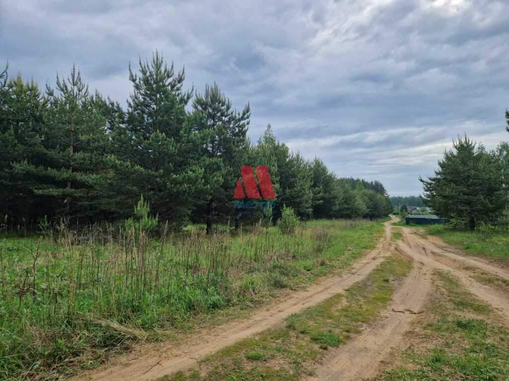 земля р-н Некрасовский д Турово Турово территория фото 4