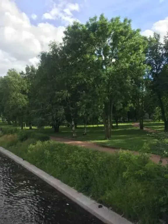 квартира г Санкт-Петербург метро Чкаловская пр-кт Петровский 1 Ленинградская область фото 4