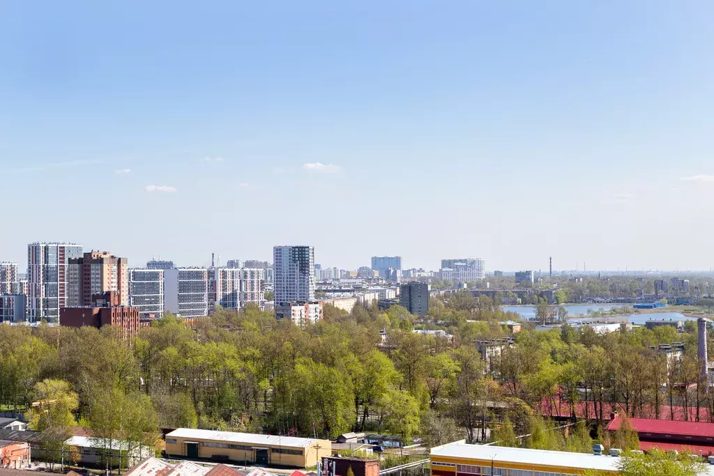 квартира г Санкт-Петербург метро Елизаровская пр-кт Уездный 11 Ленинградская область фото 4