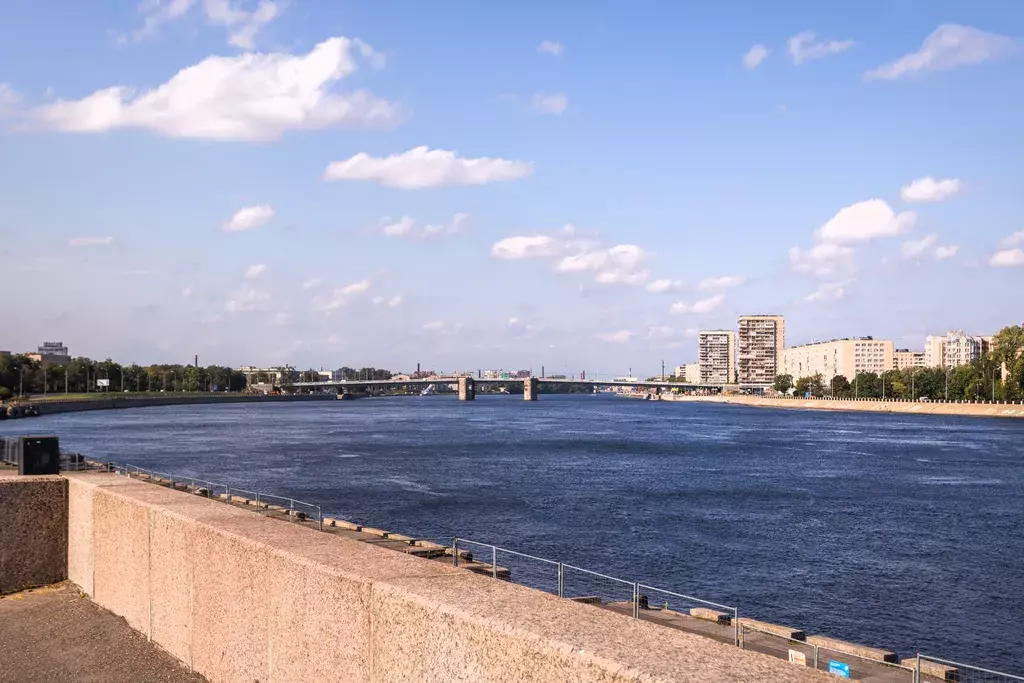 квартира г Санкт-Петербург метро Пролетарская пр-кт Обуховской Обороны 195 Ленинградская область фото 4