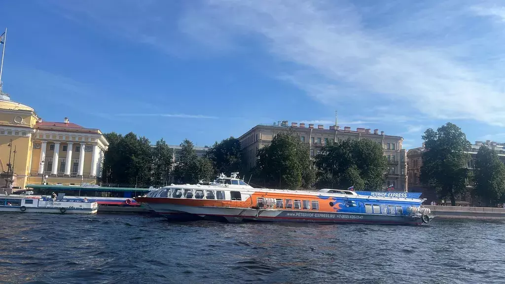 квартира г Санкт-Петербург метро Адмиралтейская наб Адмиралтейская 6 Ленинградская область фото 3