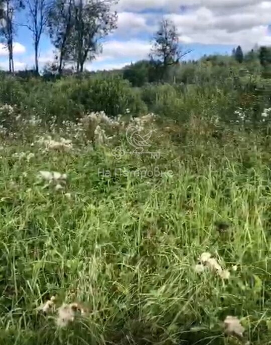 земля городской округ Волоколамский д Себенки фото 1