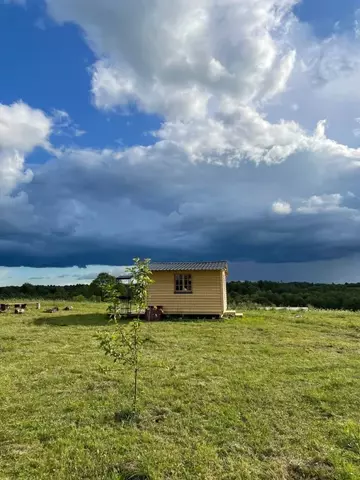 Большой Волок деревня, б/н фото