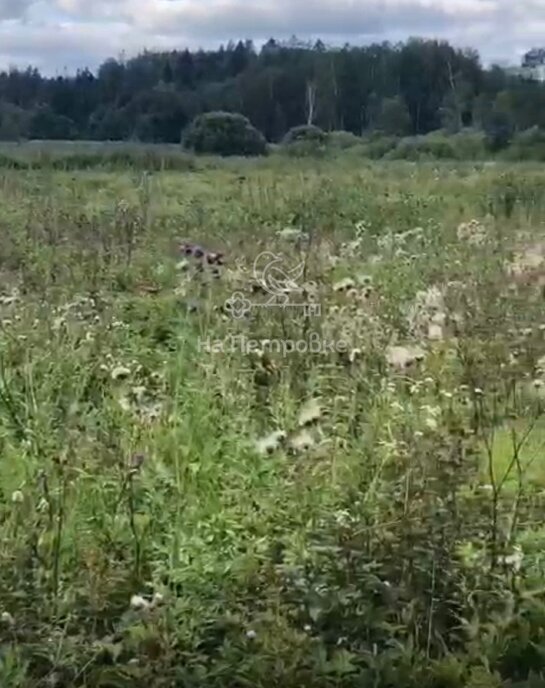 земля городской округ Волоколамский д Себенки фото 4