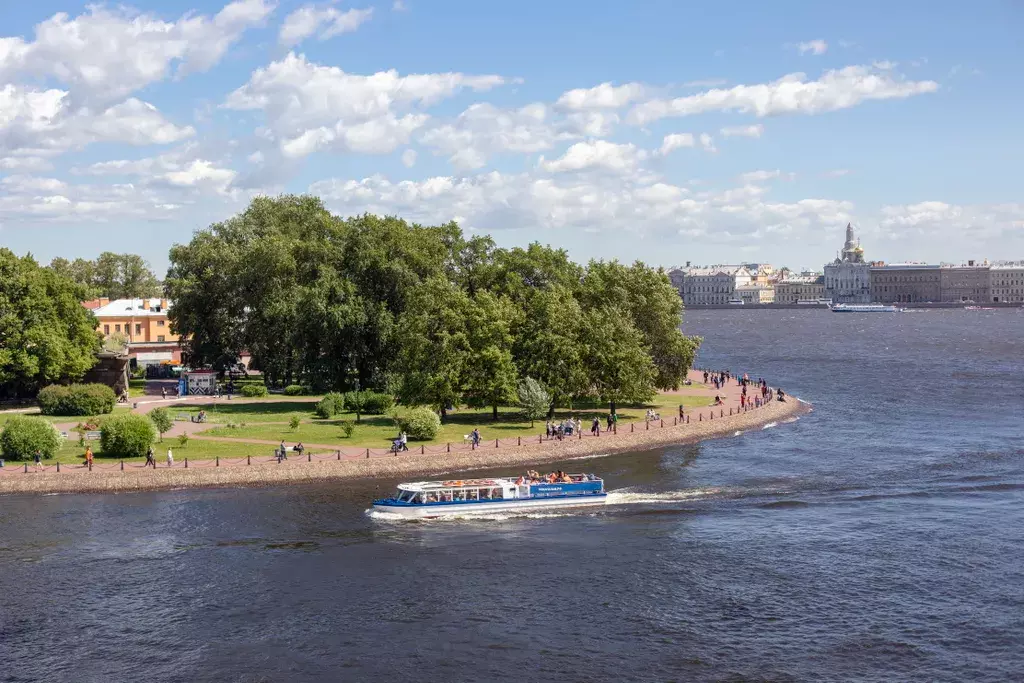 квартира г Санкт-Петербург метро Спортивная пр-кт Добролюбова 2 Ленинградская область фото 4