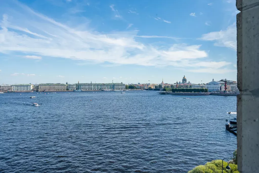 квартира г Санкт-Петербург метро Спортивная пр-кт Добролюбова 2 Ленинградская область фото 3