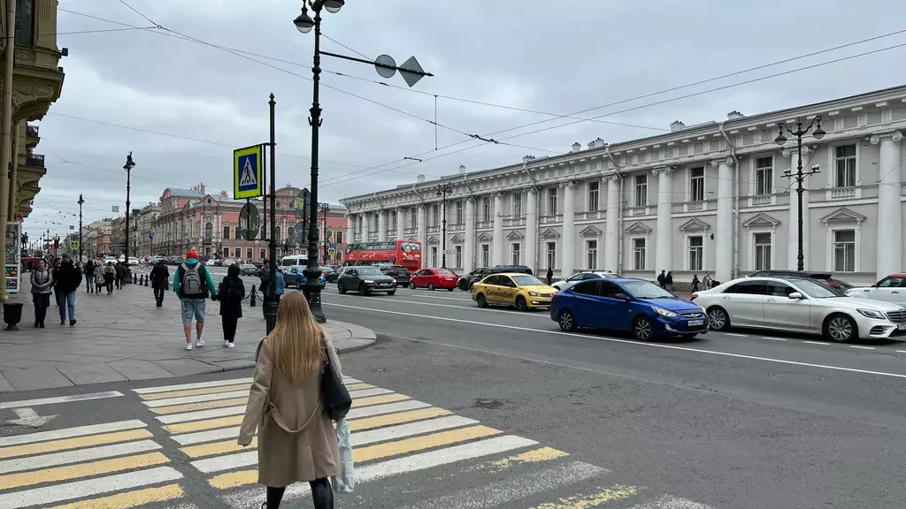 квартира г Санкт-Петербург метро Гостиный Двор ул Караванная 7 Ленинградская область фото 4