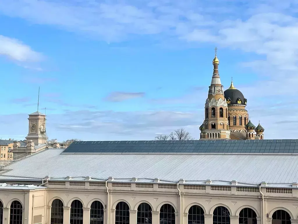 квартира г Санкт-Петербург метро Балтийская наб Обводного канала 118бб Ленинградская область фото 4