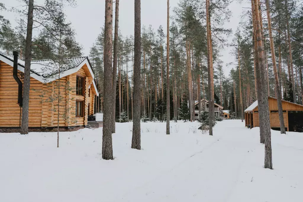 дом р-н Выборгский п Ольшаники - улица, 4 фото 14