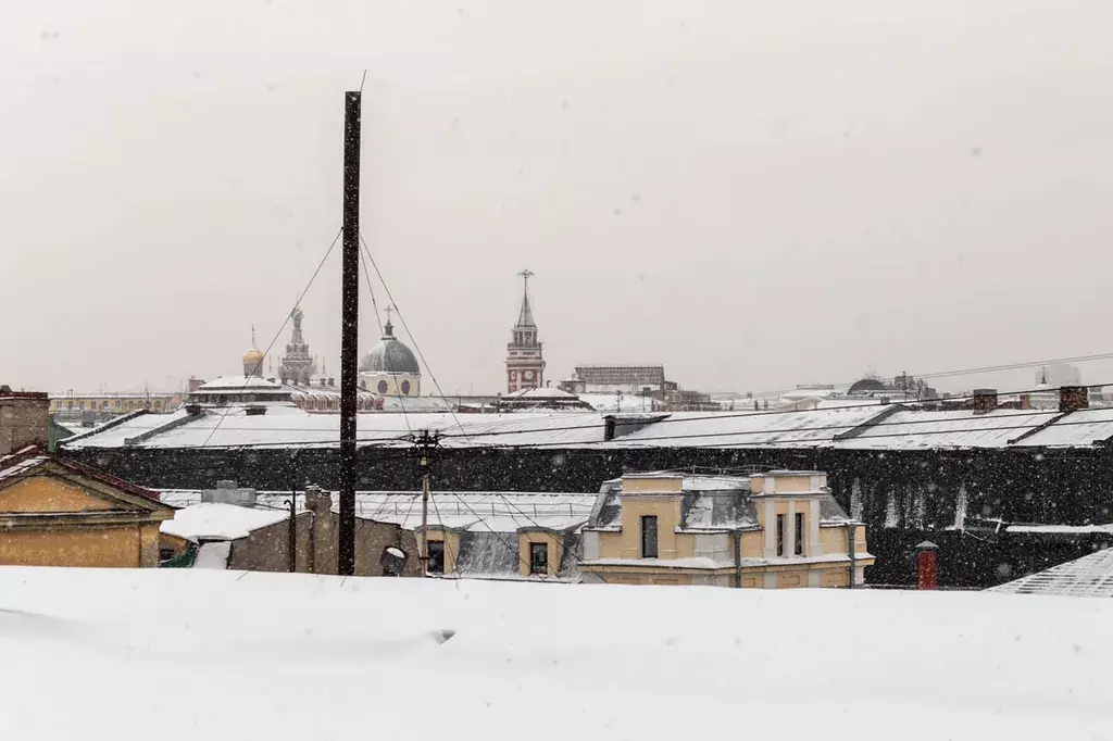 квартира г Санкт-Петербург метро Сенная Площадь пер Апраксин 19/21 Ленинградская область фото 13