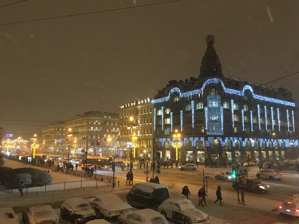 квартира г Санкт-Петербург метро Невский Проспект пр-кт Невский 27 Ленинградская область фото 15