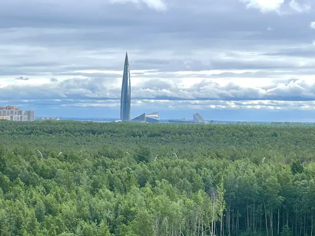 квартира г Санкт-Петербург метро Комендантский Проспект ул Плесецкая 4 Ленинградская область фото 12